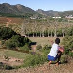 27 May 2018: A child shoots his “kettie” at friends near an orange plantation in Patensie in the Eastern Cape. (Photograph by James Oatway)